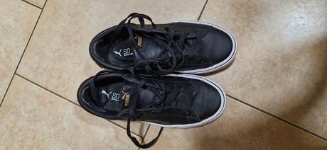 Puma platform, puma,40