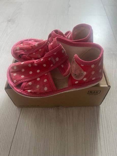 Rak papučky, rak,26