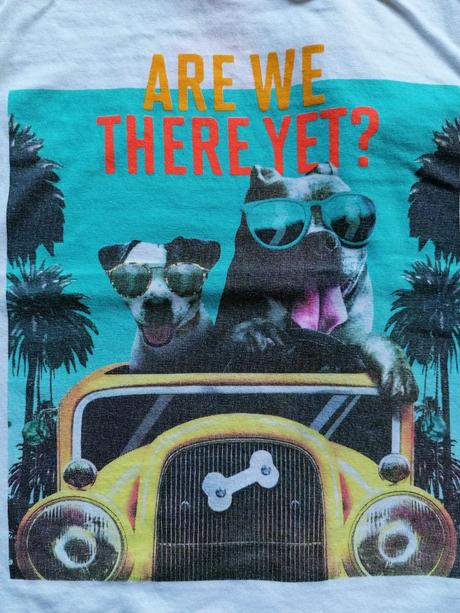 Zvieratkove tričká, f&f,104