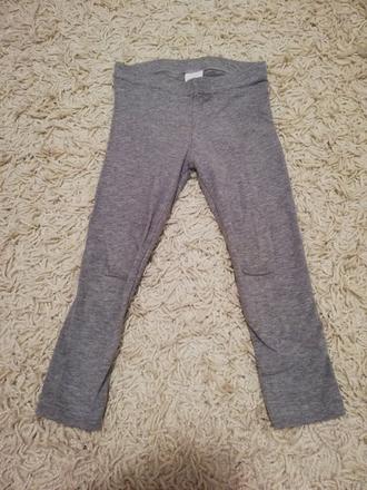 Legíny, palomino,98