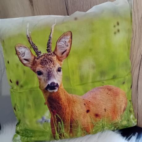 Obliečka na vankúšik, šírka (cm): 40,dĺžka (cm): 40