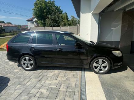 Skoda, škoda