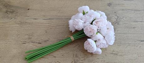Ozdobný kvietok pivonka - rose pink, 