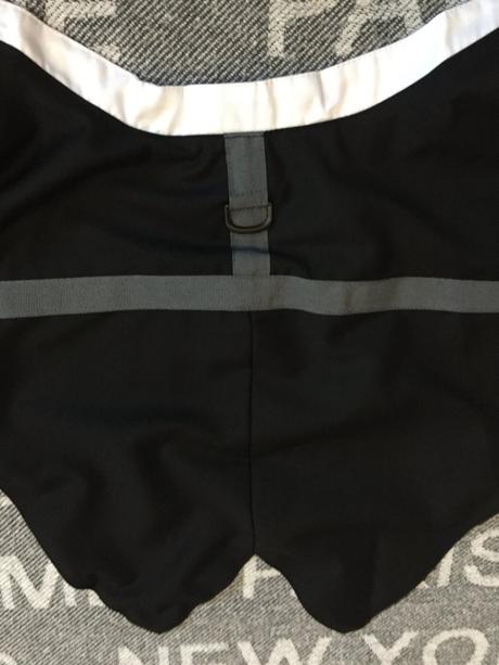 Pes, sviatocne oblecenie s motylikom m,