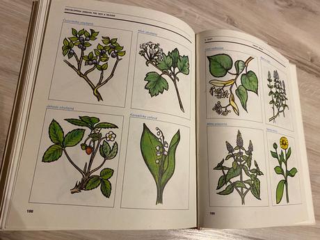 Stará retro encyklopédia zdravia pre deti a mládež, 