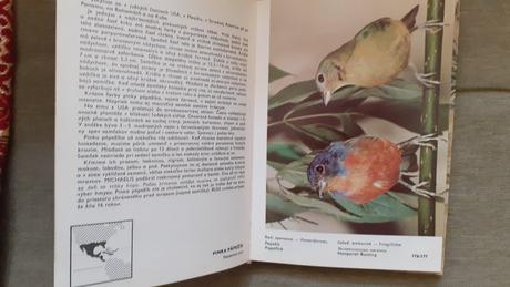 Vreckový atlas cudzokrajných vtákov,