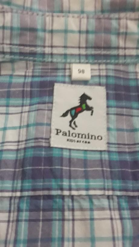 Kosela, palomino,104