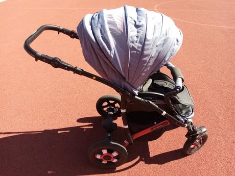 Kočík camarelo sevilla, camarelo,camarelo sevilla