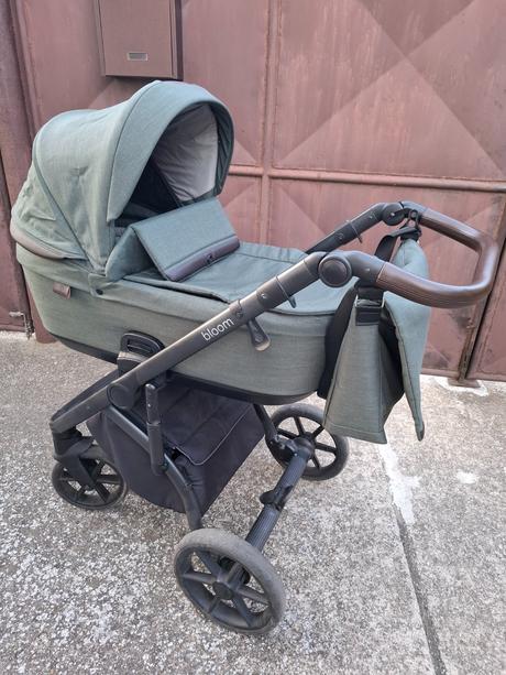 Kočík roan bloom, roan,roan bloom