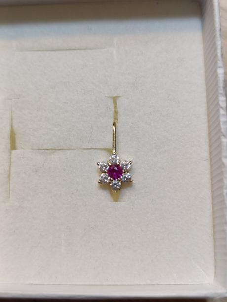 Naušnička kvietok,