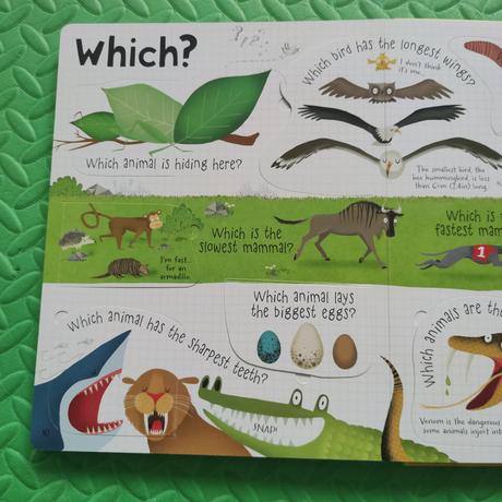 Questions and answers about animals,