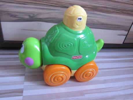 Chodiaca korytnačka zs., 