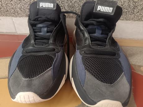 Top stav, puma,42