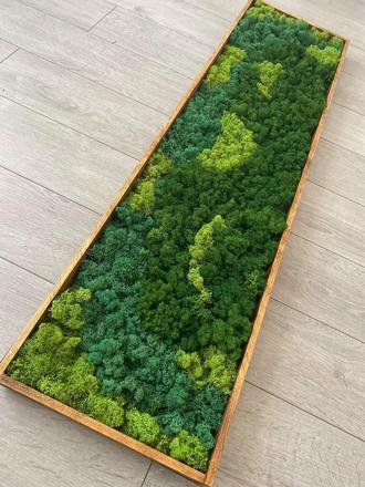 Machovy obraz na stenu 120x30,