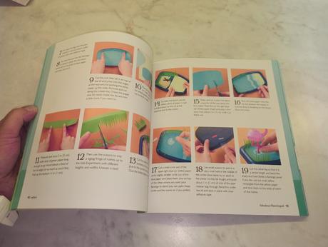 Tracey radford - make your own zoo,