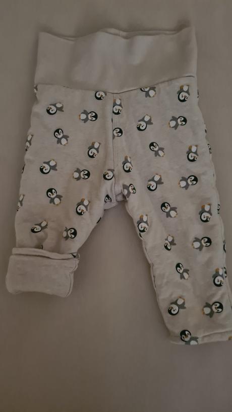 Teplejsia suprava, next,74