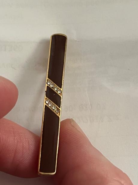 Vintage elegantna hneda brosna s kamienkami, 