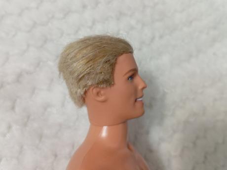 Barbie ken chlapci 2,