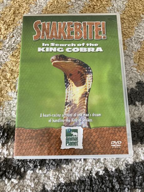 Snake bite in search of the king cobra,