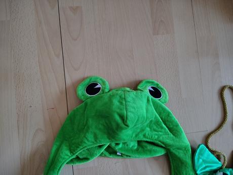 Karnevalový kostým,