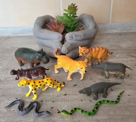 Safari - menšia a stredná veľkosť, 