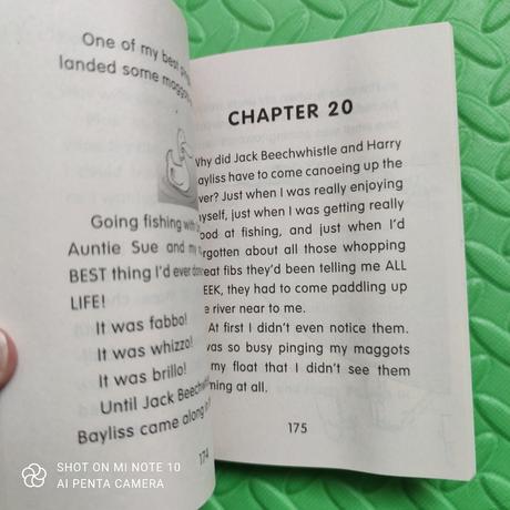 Daisy and the trouble with maggots,