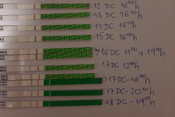 Je môj ovulačný test na 17. deň pozitívny?
