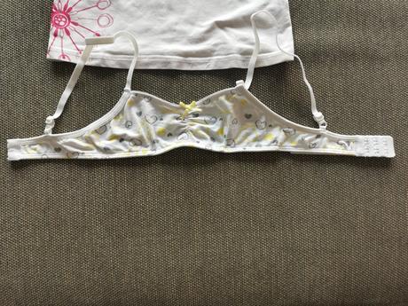 Tielko a podpredseda, f&f,140