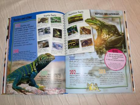 Wild about science animals space, 