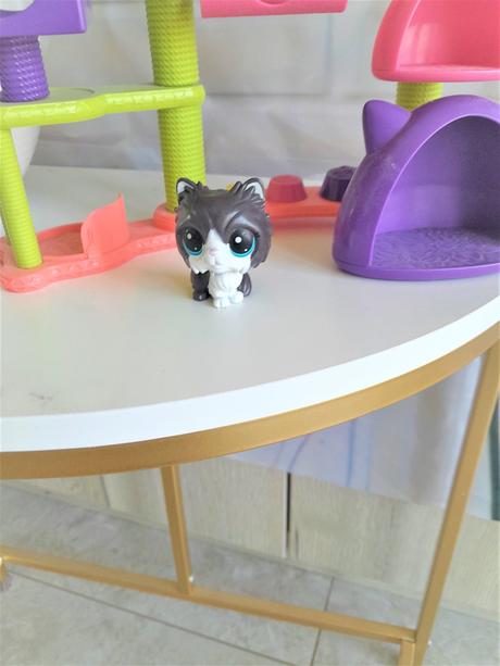 Littlest pet  shop cat, 