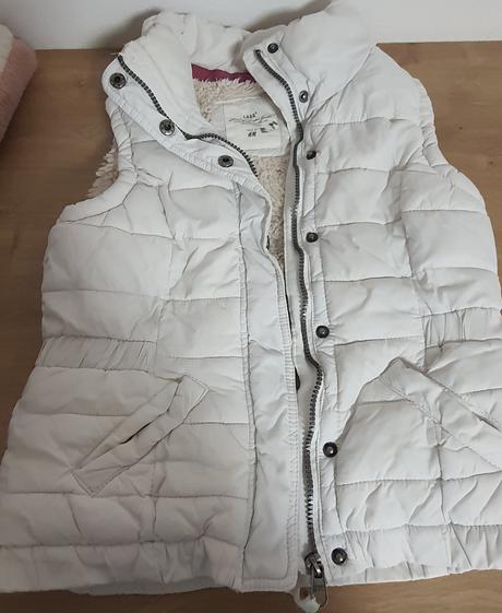 Vesta ovečková, 146