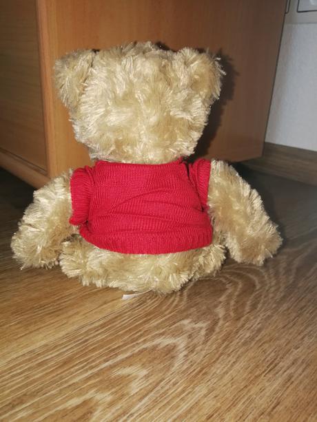 Plyšový medvedík, 