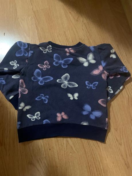 Mikina s motylikmi, 104