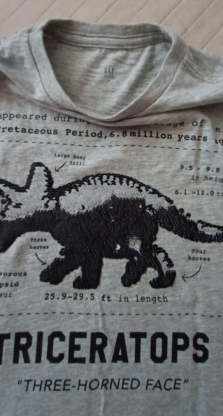 Tričko gap v. m, gap,146