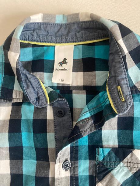 Kosela, palomino,128