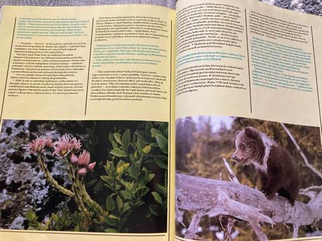 Nízke tatry (veľký formát) prvé vydanie 1986, 