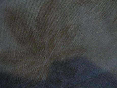 Krátke nohavice, 46