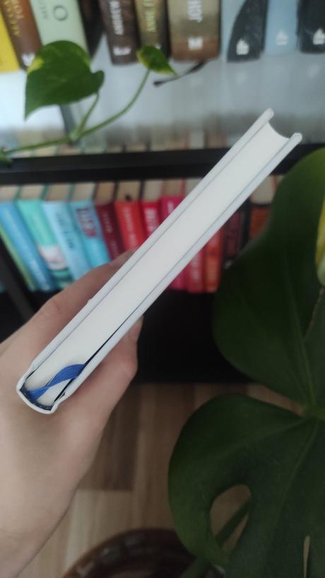 Nadia terranova - zbohom prízraky, 