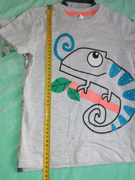 Tričká chameleón, 104