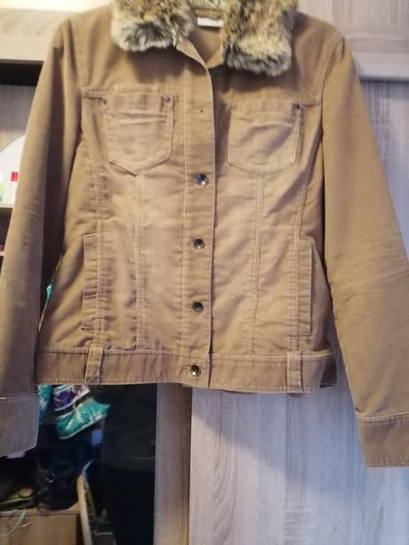 Mencestrova bundička biaggini, 38