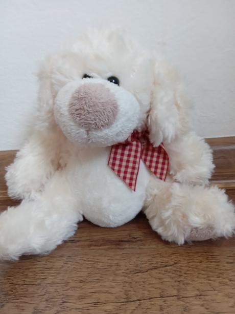 Plyšový psík,