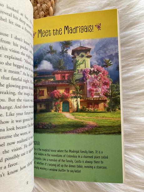 Disney encanto the junior novel,
