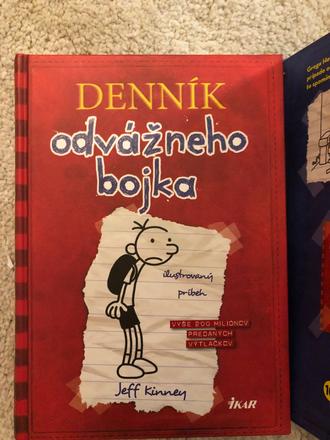 Denník odvážneho bojka,