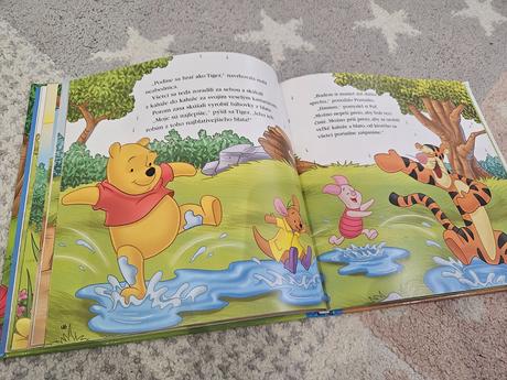 Kam zmiznú po daždi kaluže, 