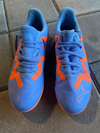 Halovky puma, puma,37
