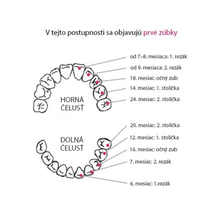 Hryzadlo na citlivé ďasná a prvé zúbky stage1 3m+, tommee tippee