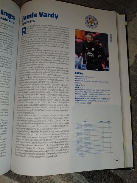 Fotbalové hvězdy 2021, 