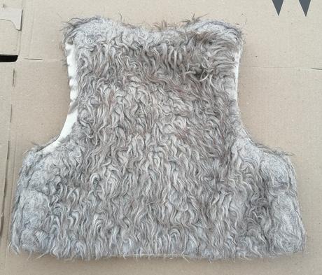 .vesta, young dimension,98