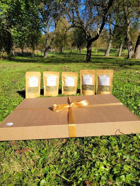 Jarná edícia bylinkových čajov - darčeková sada,