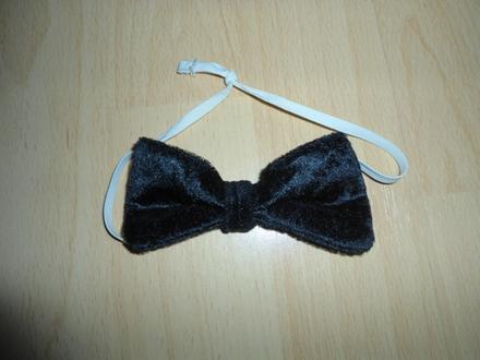 Cierny semisovy motylik, 